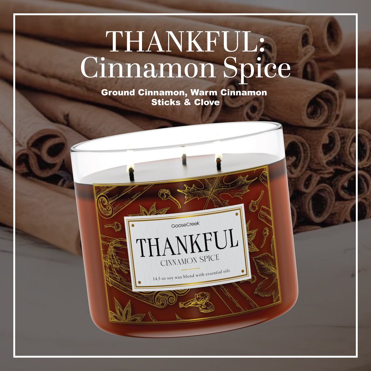 THANKFUL: Cinnamon Spice 3-Wick Candle