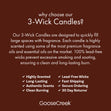 Load image into Gallery viewer, THANKFUL: Cinnamon Spice 3-Wick Candle
