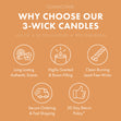 Load image into Gallery viewer, The Great Pumpkin 3-Wick Peanuts Candle
