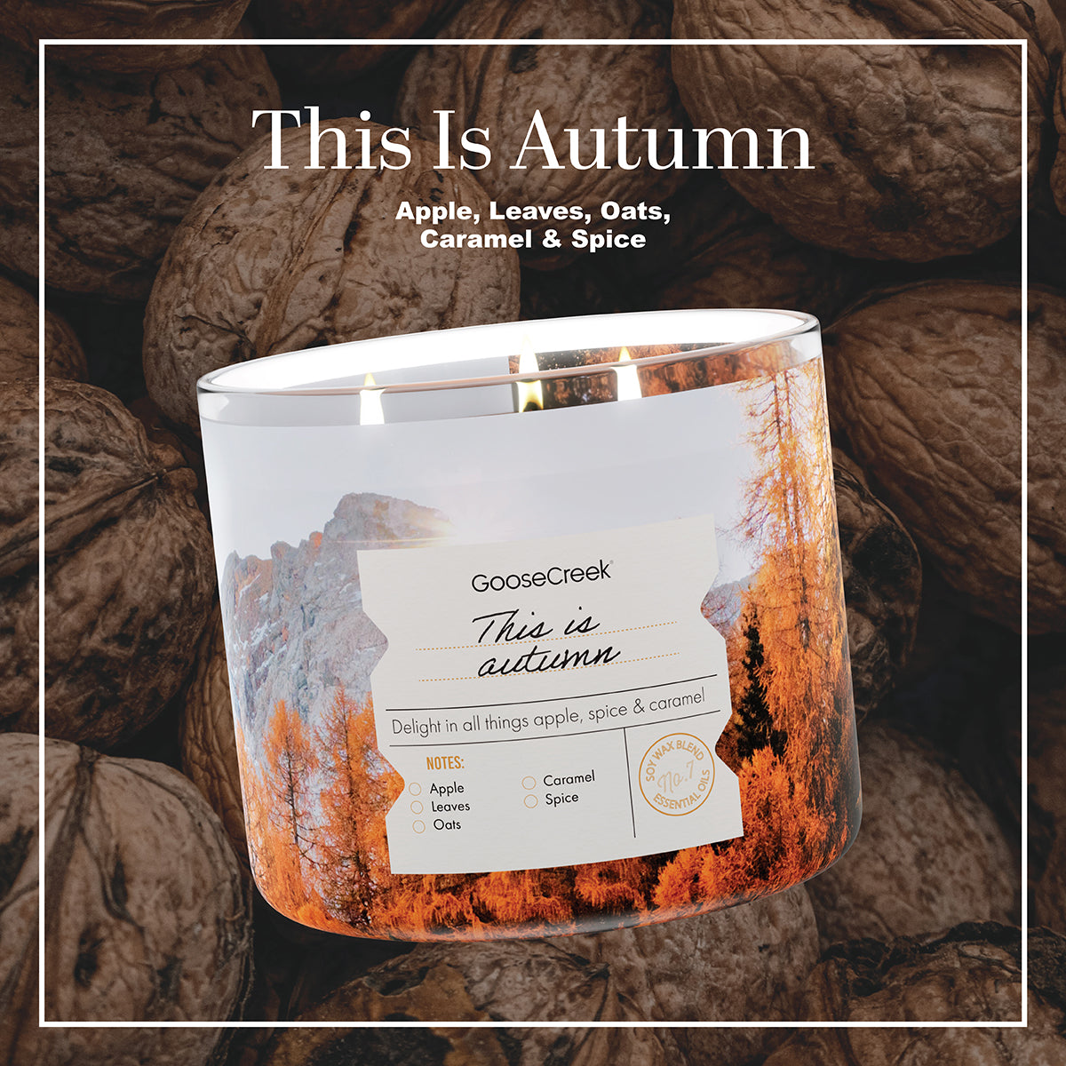 This is Autumn 3-Wick Candle