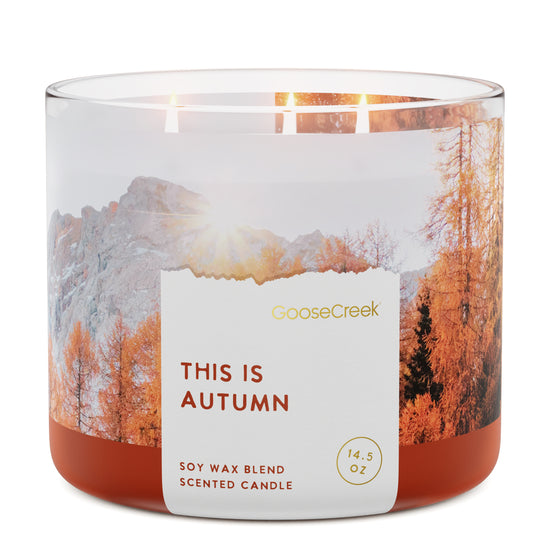 This is Autumn 3-Wick Candle