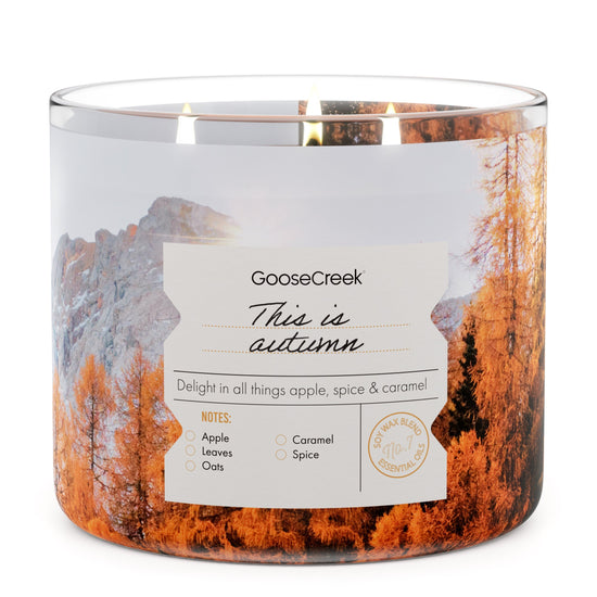 This is Autumn 3-Wick Candle