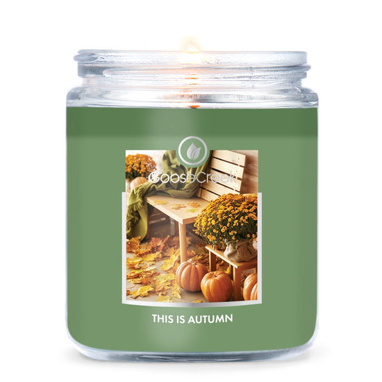 This is Autumn 7oz Single Wick Candle