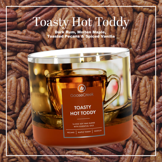 Toasty Hot Toddy 3-Wick Candle