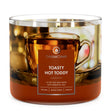 Load image into Gallery viewer, Toasty Hot Toddy 3-Wick Candle
