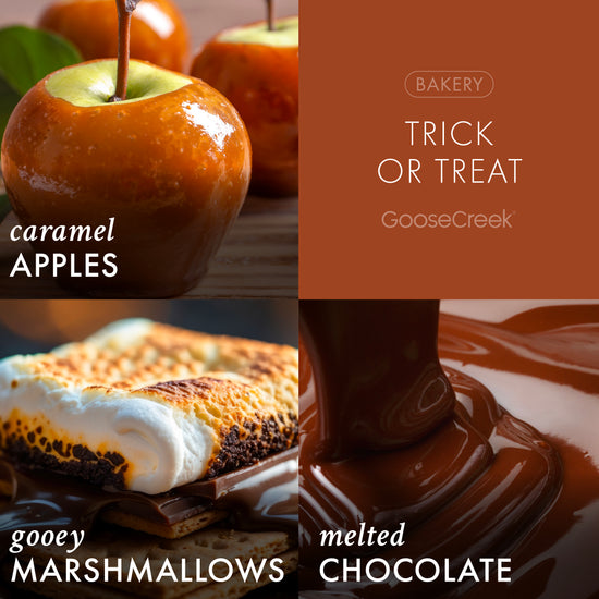 Trick Or Treat 3-Wick Candle