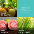 Load image into Gallery viewer, Tropical Daydream Wax Melt
