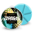 Load image into Gallery viewer, Tropical Daydream Wax Melt
