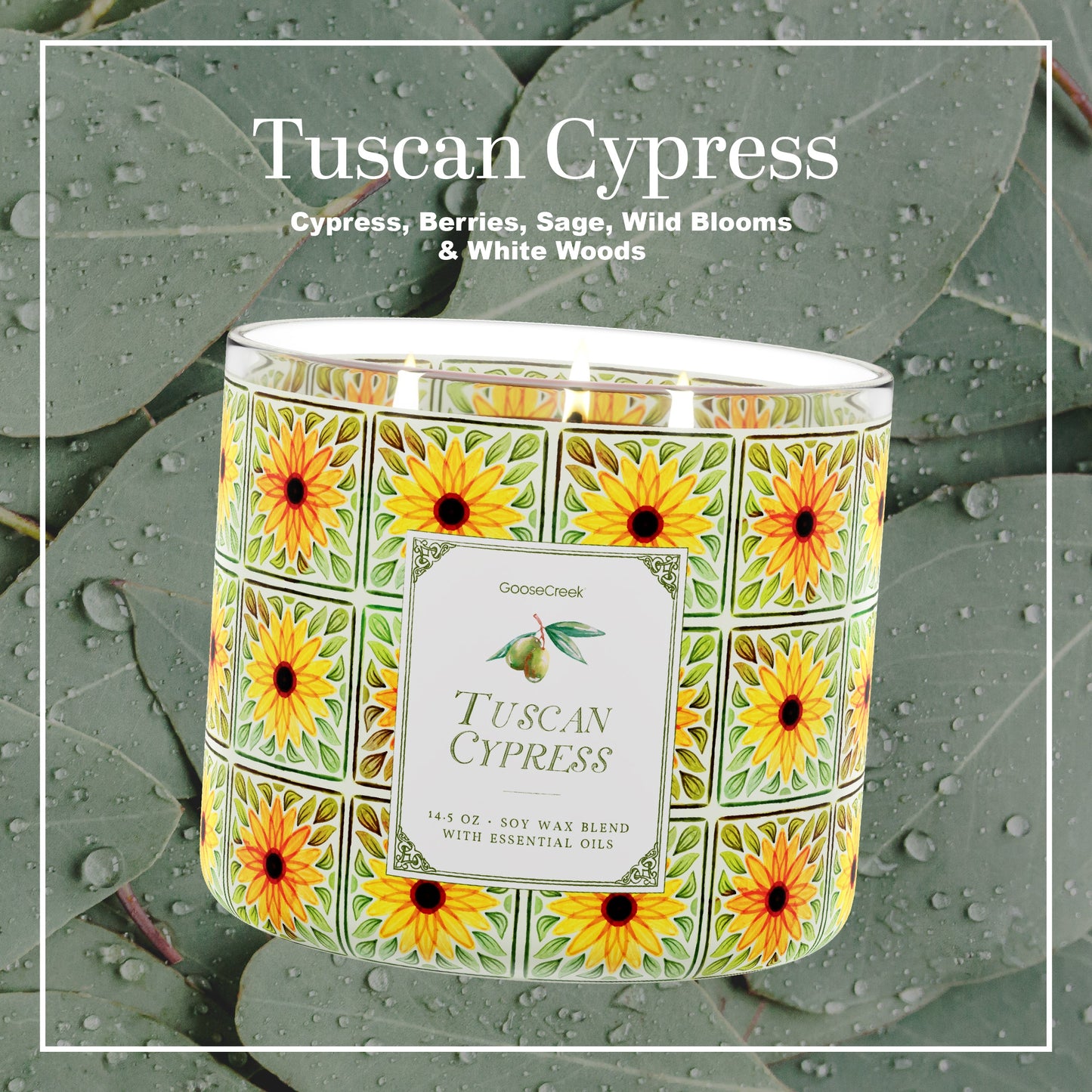 Tuscan Cypress Large 3-Wick Candle