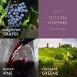 Load image into Gallery viewer, Tuscan Vineyard 3-Wick Candle
