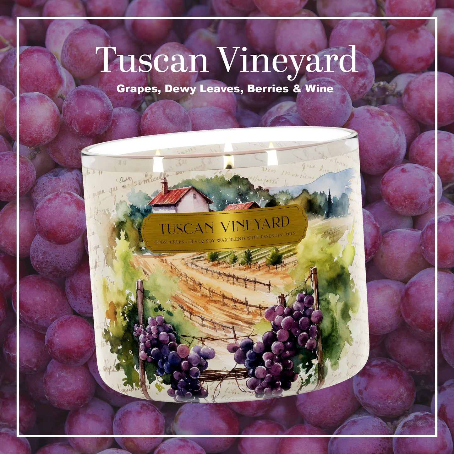 Tuscan Vineyard Large 3-Wick Candle