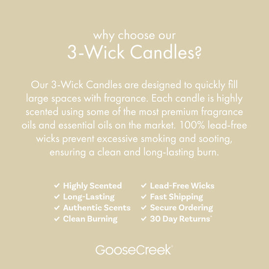 Vanilla Bean 3-Wick Candle