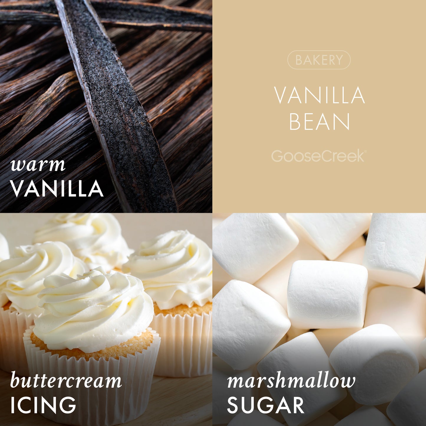 Vanilla Bean 3-Wick Candle