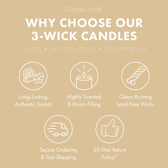 Vanilla Bean 3-Wick Candle