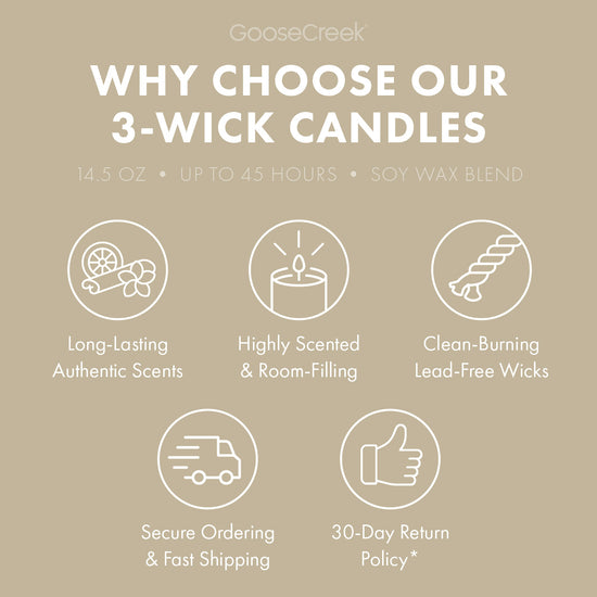 Vanilla Bean 3-Wick Candle