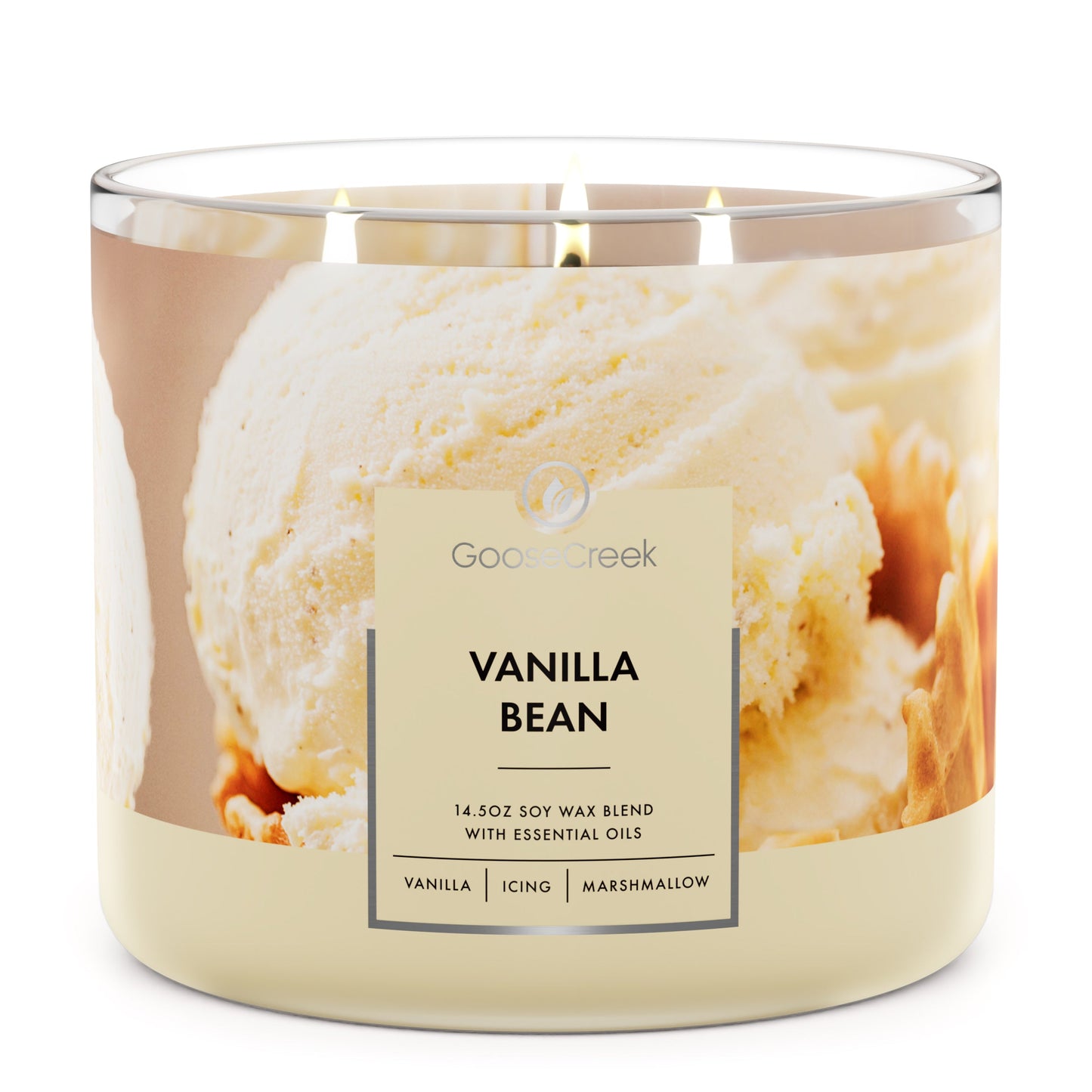 Vanilla Bean Large 3-Wick Candle