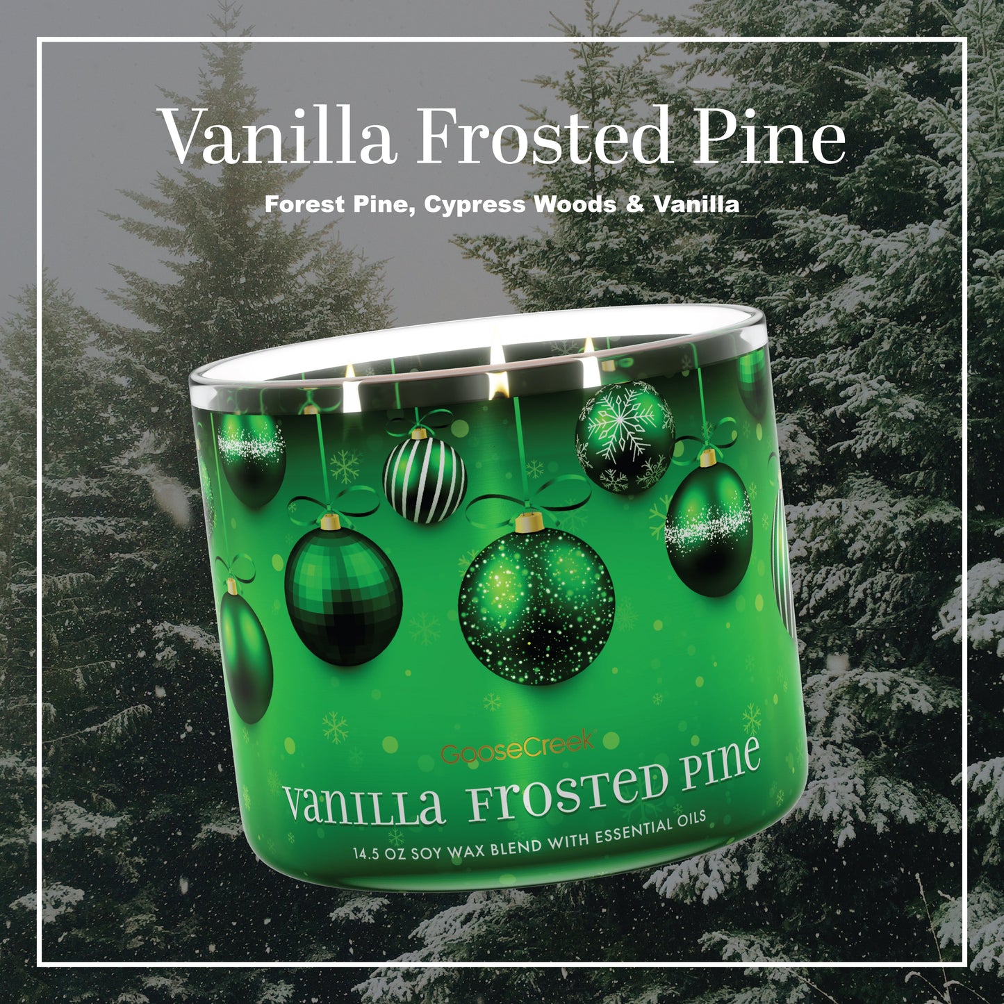 Vanilla Frosted Pine 3-Wick Candle