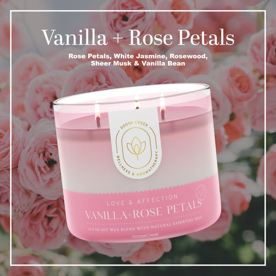 Vanilla & Rose Petals Aromatherapy 3-Wick Candle