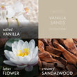 Load image into Gallery viewer, Vanilla Sands Lush Foaming Hand Soap
