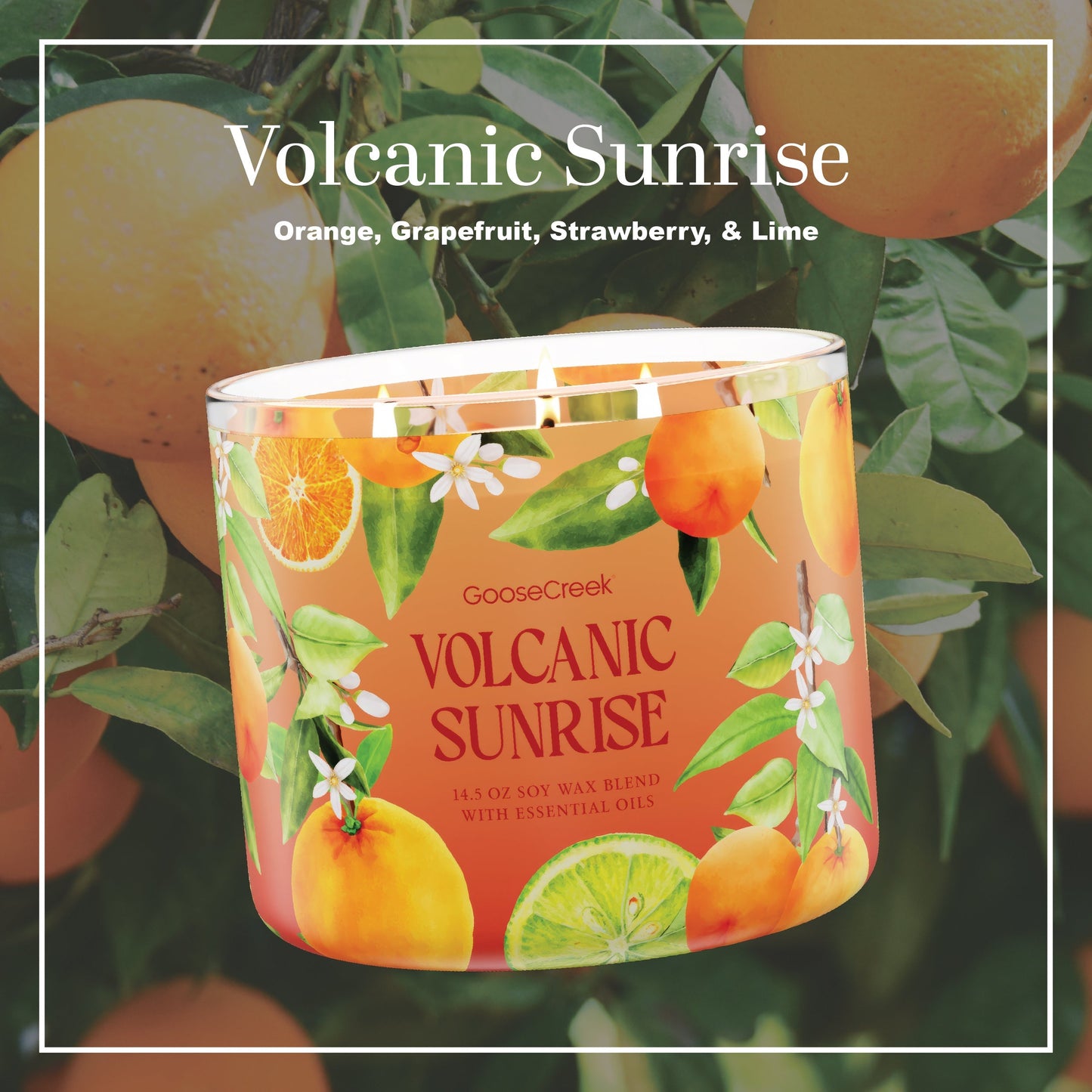 Volcanic Sunrise 3-Wick Candle