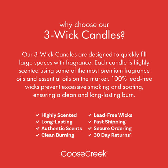 WELCOME: Warm Apple Spice 3-Wick Candle