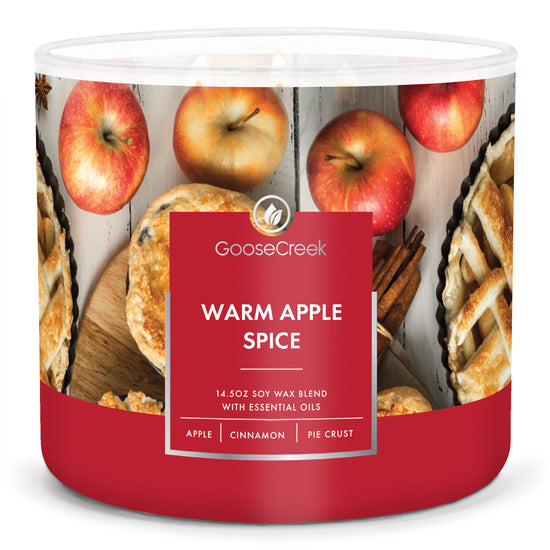 Load image into Gallery viewer, Warm Apple Spice Large 3-Wick Candle
