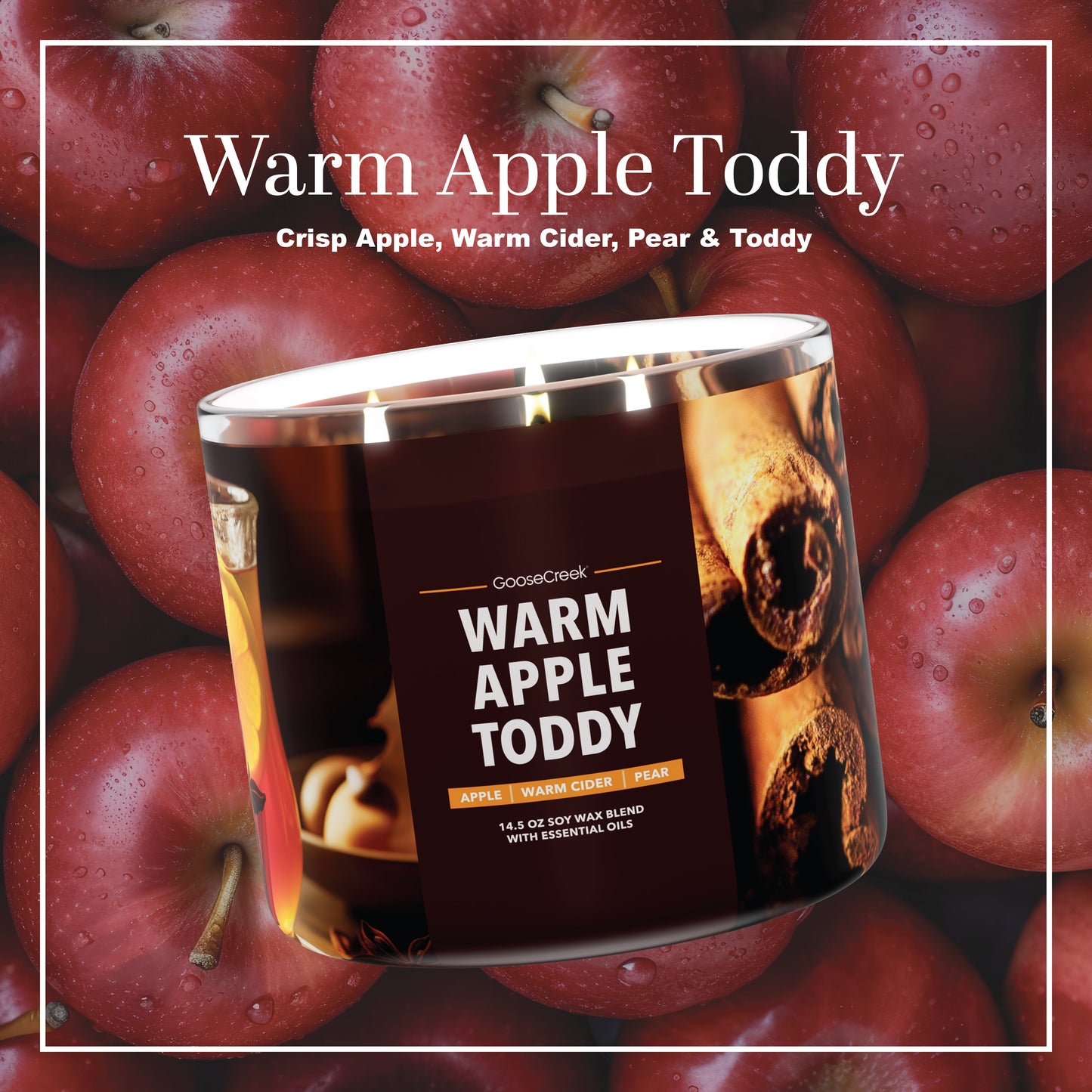 Warm Apple Toddy 3-Wick Candle