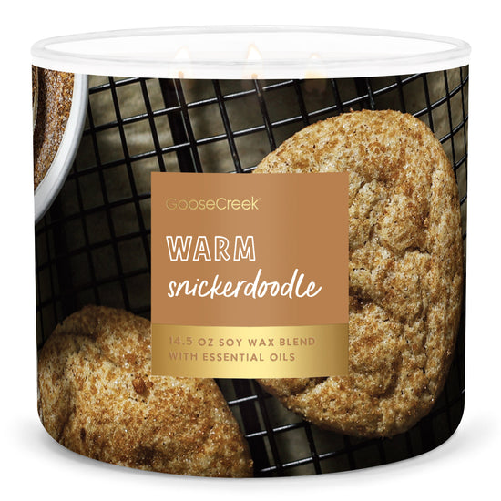 Load image into Gallery viewer, Warm Snickerdoodle Large 3-Wick Candle
