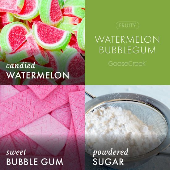 Watermelon Bubblegum Plug-in Refill