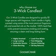 Load image into Gallery viewer, White Pine Lake 3-Wick Candle
