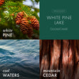 Load image into Gallery viewer, White Pine Lake Foaming Hand Soap

