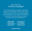 Load image into Gallery viewer, White Water Springs 3-Wick Candle
