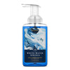 White Water Springs Lush Foaming Hand Soap