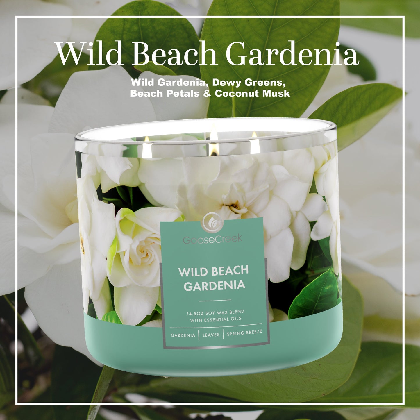 Wild Beach Gardenia Large 3-Wick Candle