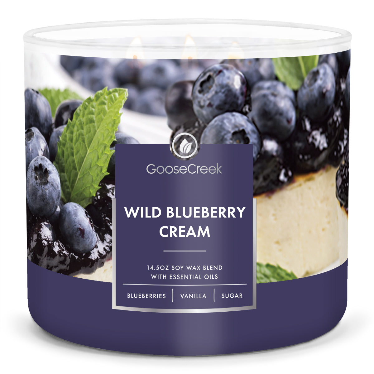 Load image into Gallery viewer, Wild Blueberry Cream Large 3-Wick Candle
