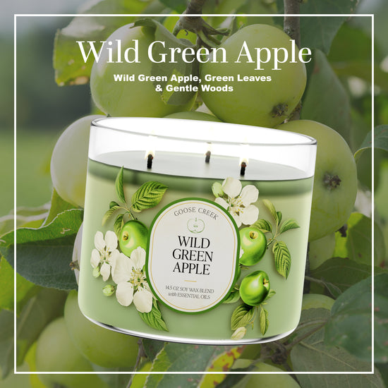 Wild Green Apple Large 3-Wick Candle