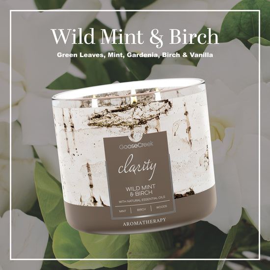 Wild Mint & Birch Aromatherapy 3-Wick Candle