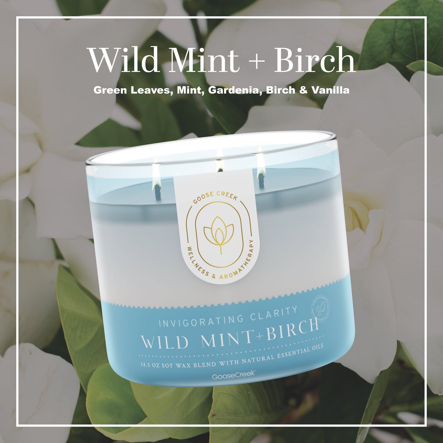 Wild Mint & Birch Aromatherapy 3-Wick Candle