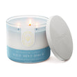 Load image into Gallery viewer, Wild Mint &amp;amp; Birch Aromatherapy 3-Wick Candle
