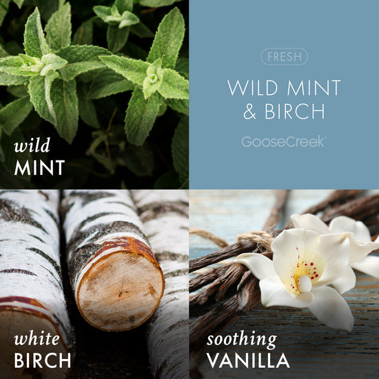 Wild Mint & Birch Aromatherapy 3-Wick Candle