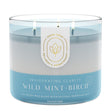 Load image into Gallery viewer, Wild Mint &amp;amp; Birch Aromatherapy 3-Wick Candle
