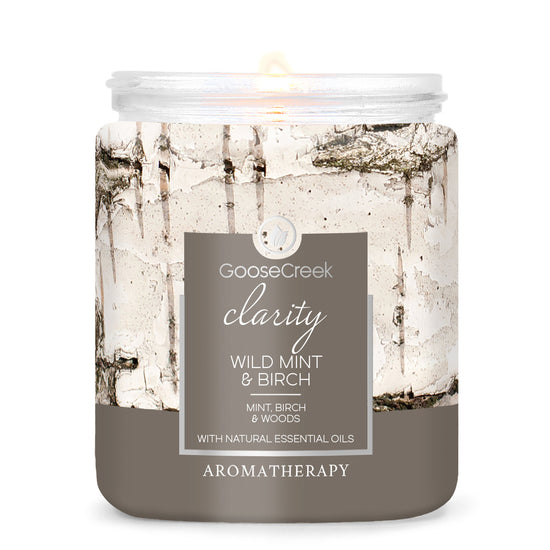 Load image into Gallery viewer, Wild Mint &amp;amp; Birch Aromatherapy 7oz Single Wick Candle
