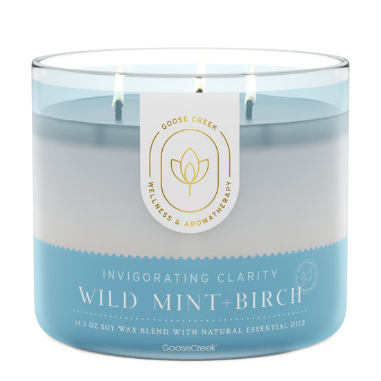 Wild Mint & Birch Aromatherapy Large 3-Wick Candle