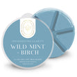 Load image into Gallery viewer, Wild Mint &amp;amp; Birch Wax Melt
