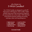 Load image into Gallery viewer, Winter Splendor 3-Wick Candle
