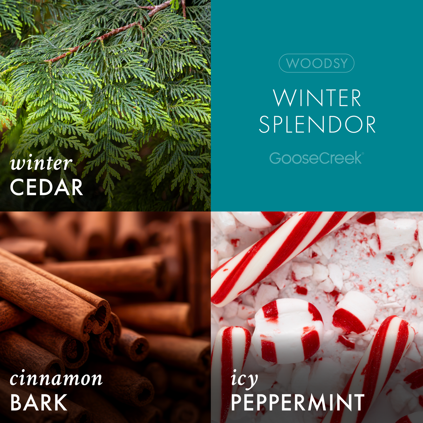 Winter Splendor 3-Wick Candle