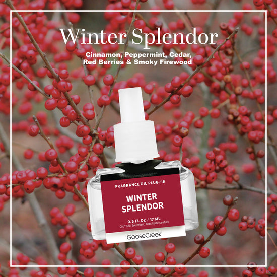 Winter Splendor Plug-in Refill