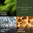 Load image into Gallery viewer, Winter Vanilla Balsam 3-Wick Candle

