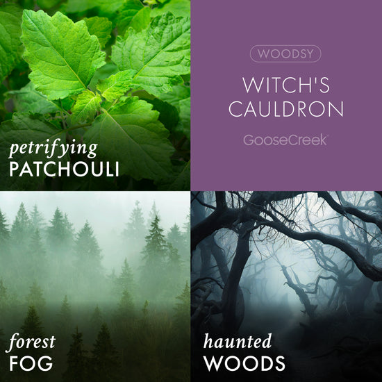 Witch's Cauldron Large 3-Wick Candle