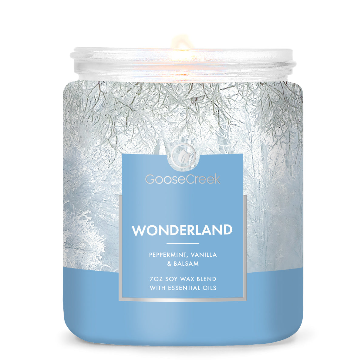 Load image into Gallery viewer, Wonderland 7oz Single Wick Candle
